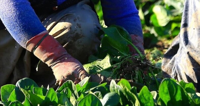 Kadın girişimcilere ‘TKDK Proje Hazırlama Eğitimi’ başlıyor