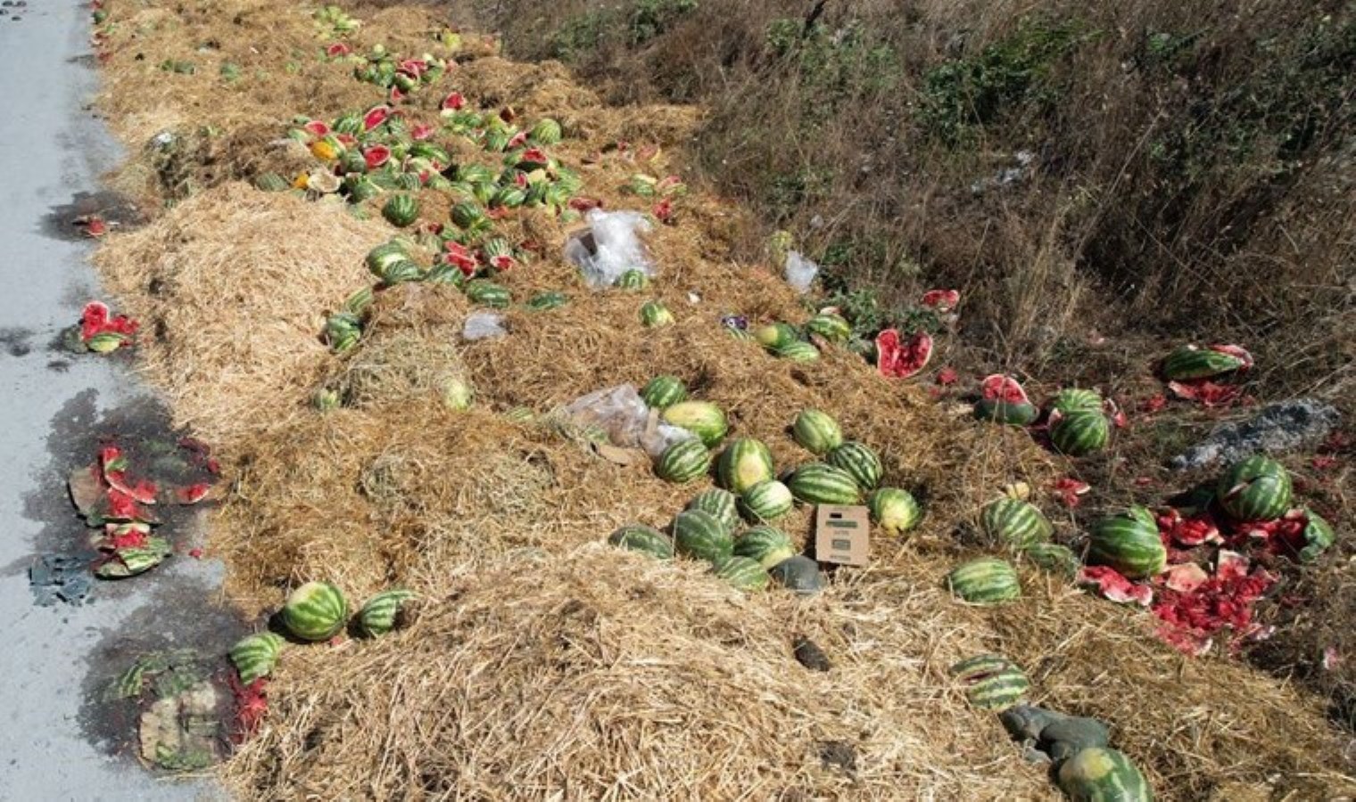 Kamyon şoförü görüntüledi: Arnavutköy’de yüzlerce karpuz yol kenarına atıldı