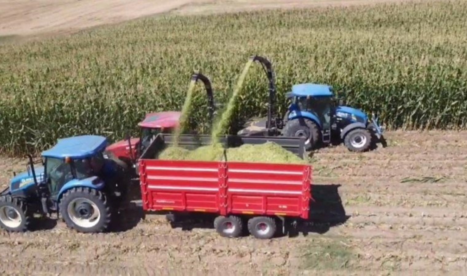 Kış aylarında ekilmişti! İlk hasadı yapıldı…