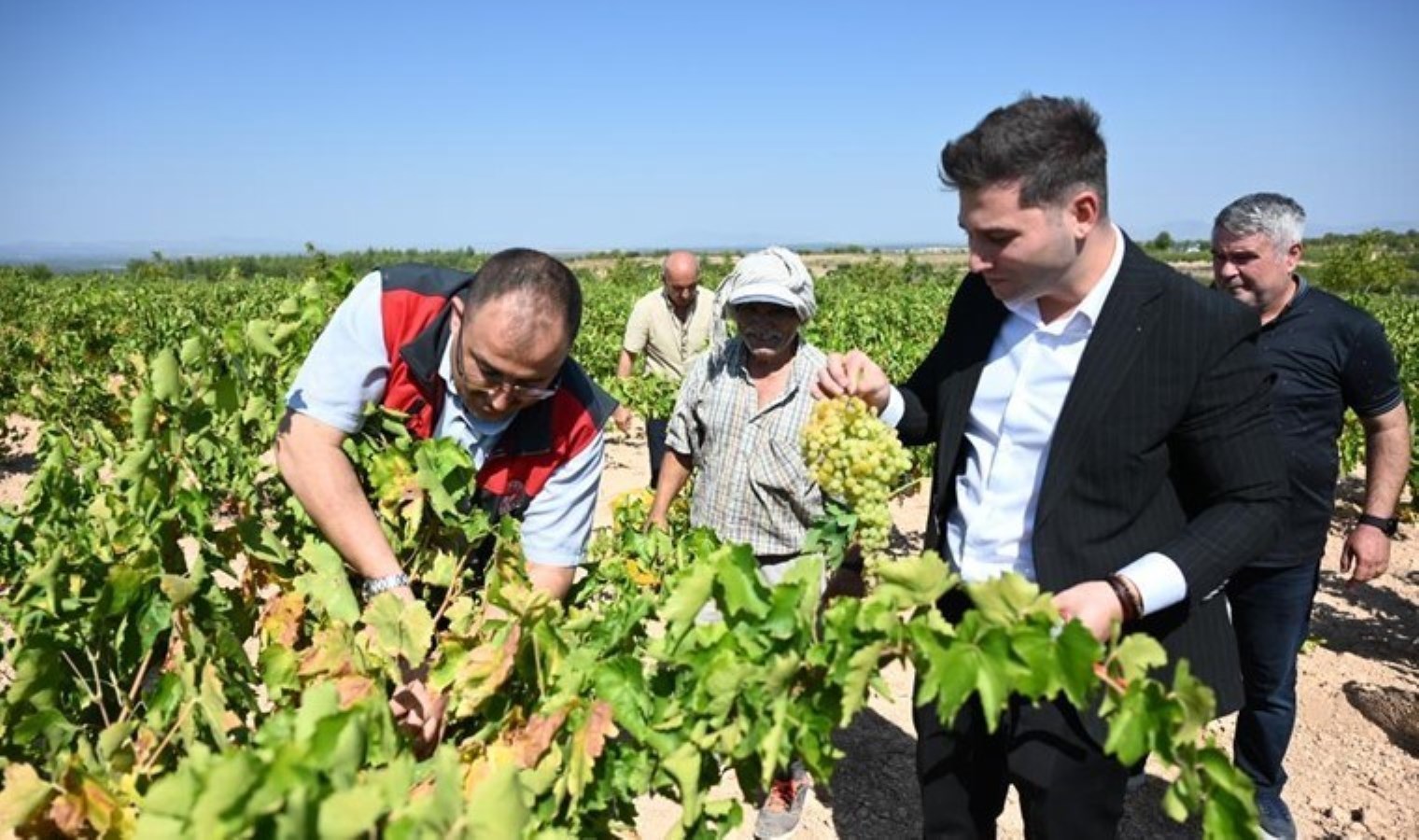 Mahallenin ana geçim kaynağı: Susuz yetişiyor…