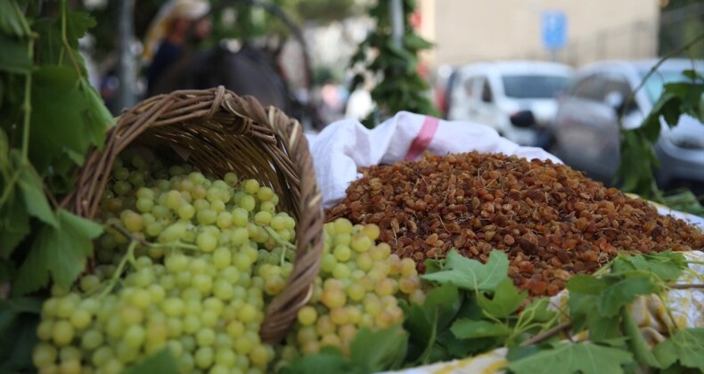 Manisa’da dönemin birinci çekirdeksiz kuru üzüm alımı yapıldı