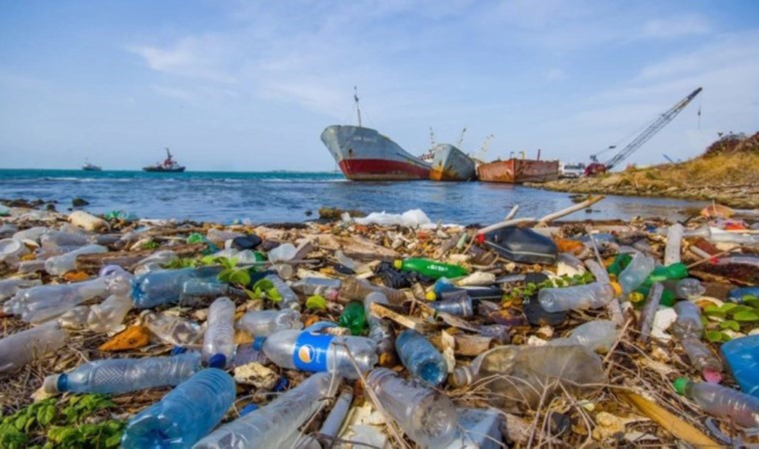 Marmara Denizi’nin Oksijen Seviyesi ve Ekosistem Tehditleri