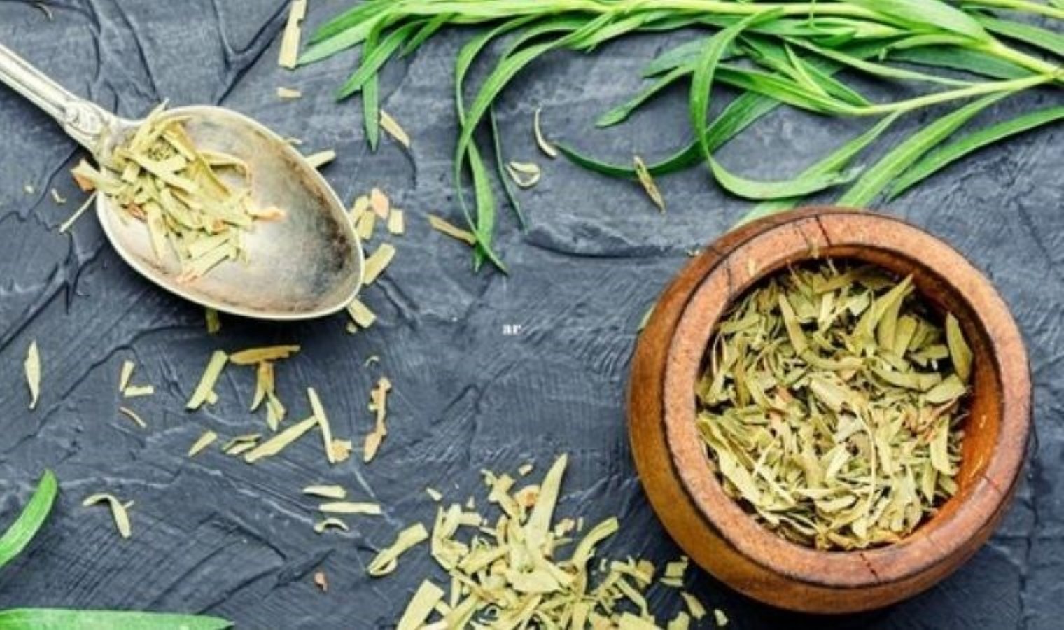 MasterChef Türkiye’de Tarhun Kullanımı ve Faydaları