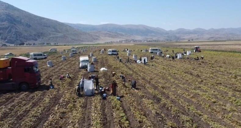 Nevşehir’de patates üreticileri eylem yapacaklar