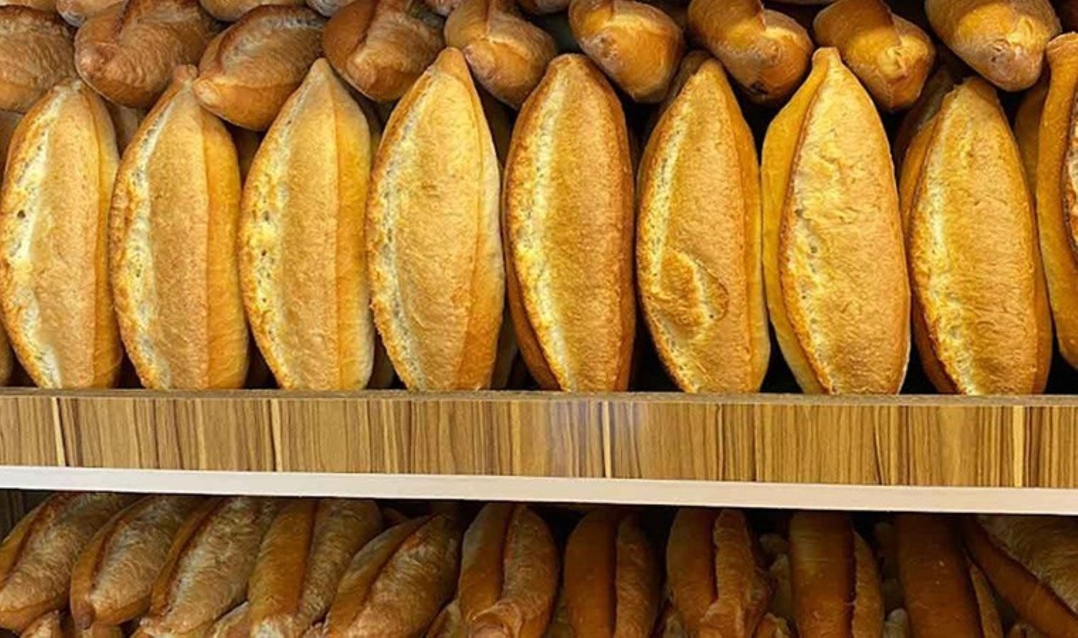 O vilayette ekmeğe artırım geldi! ‘Bedava ekmek mi satalım?’