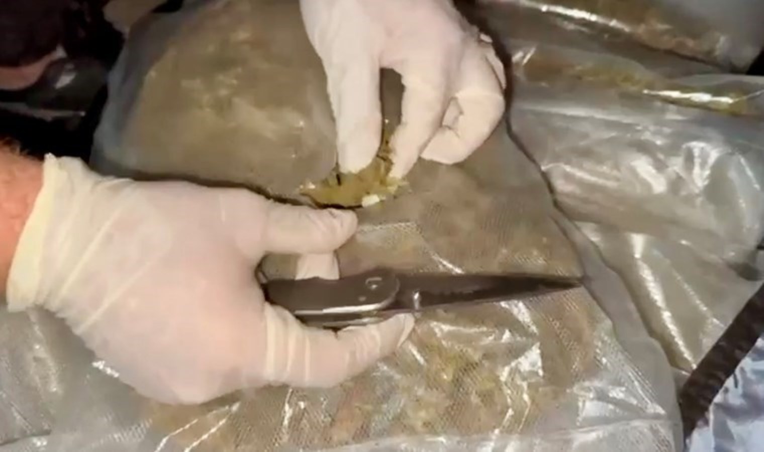 Otomobilin bagajındaki valizden 6,5 kilo skunk çıktı; 2 tutuklama