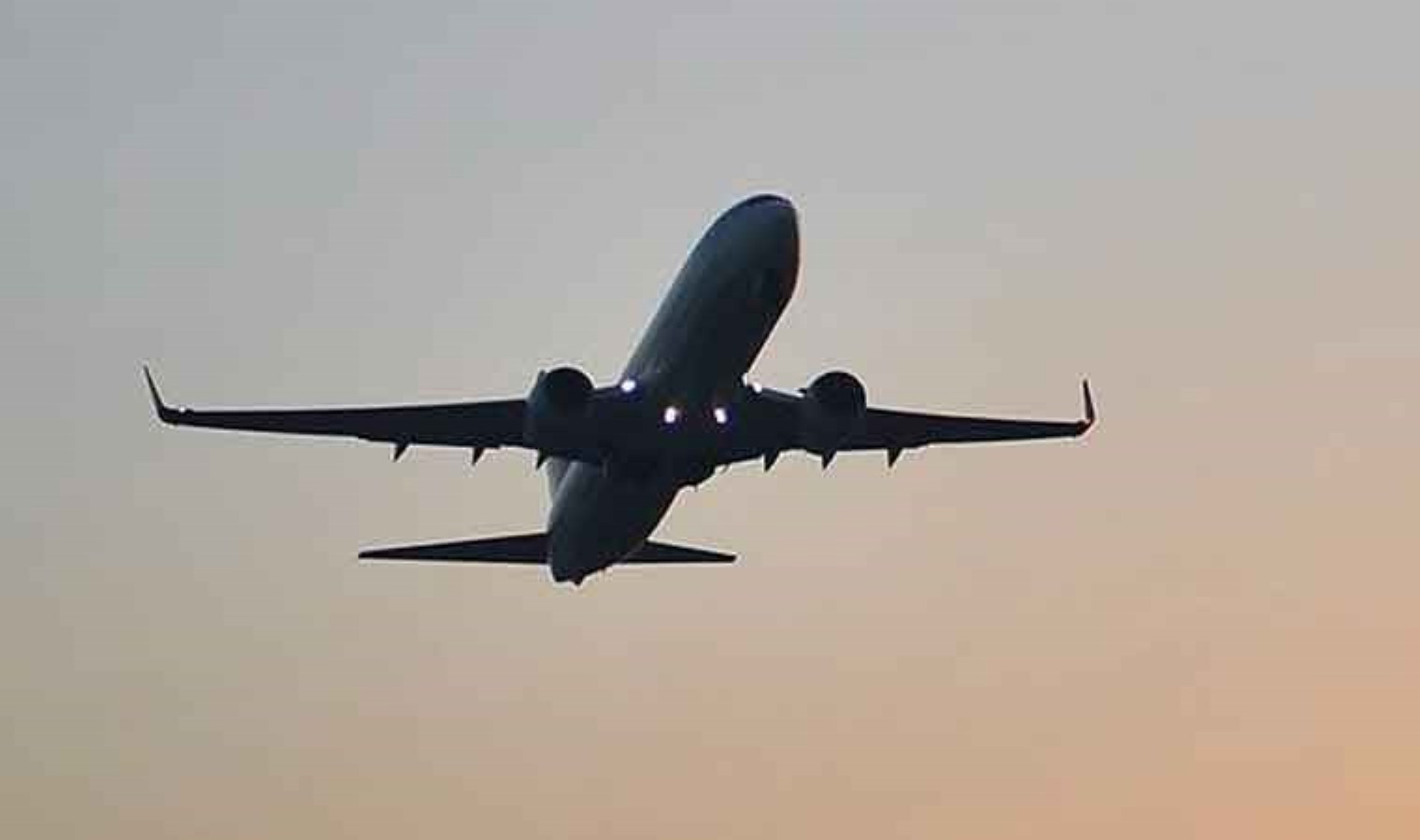 Pegasus Havayolları’nda Panik Anları: Psikolojik Problemi Olan Yolcu