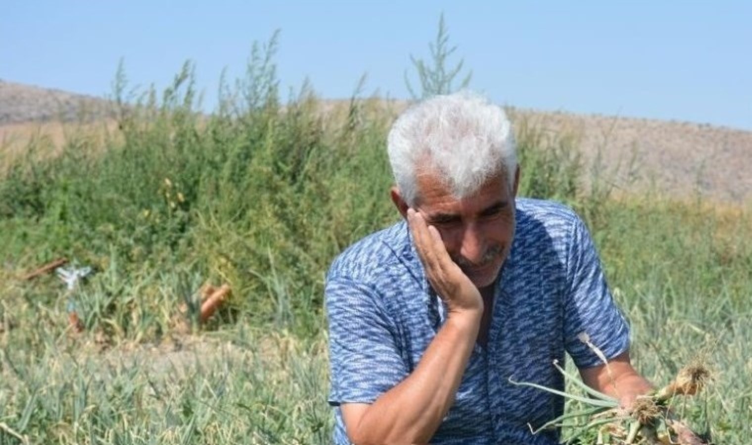 Polatlı’da İklim Değişikliği ve Soğan Üretimi Sorunları