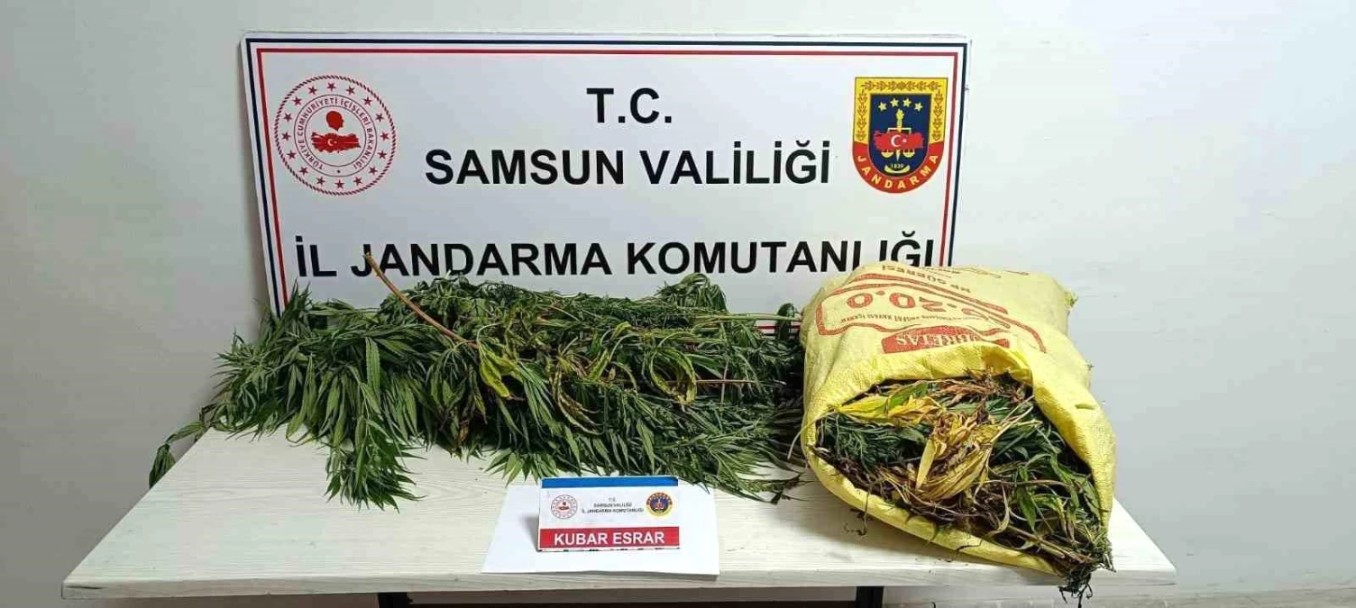 Samsun’da 12 Kilo Esrarla Yakalanan Kadın Tutuklandı