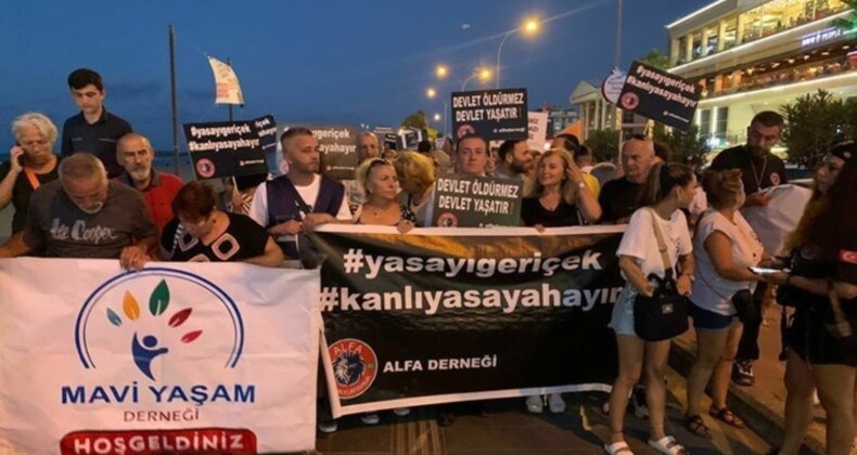 Samsun’da Sokak Hayvanları İçin Yürüyüş Düzenlendi