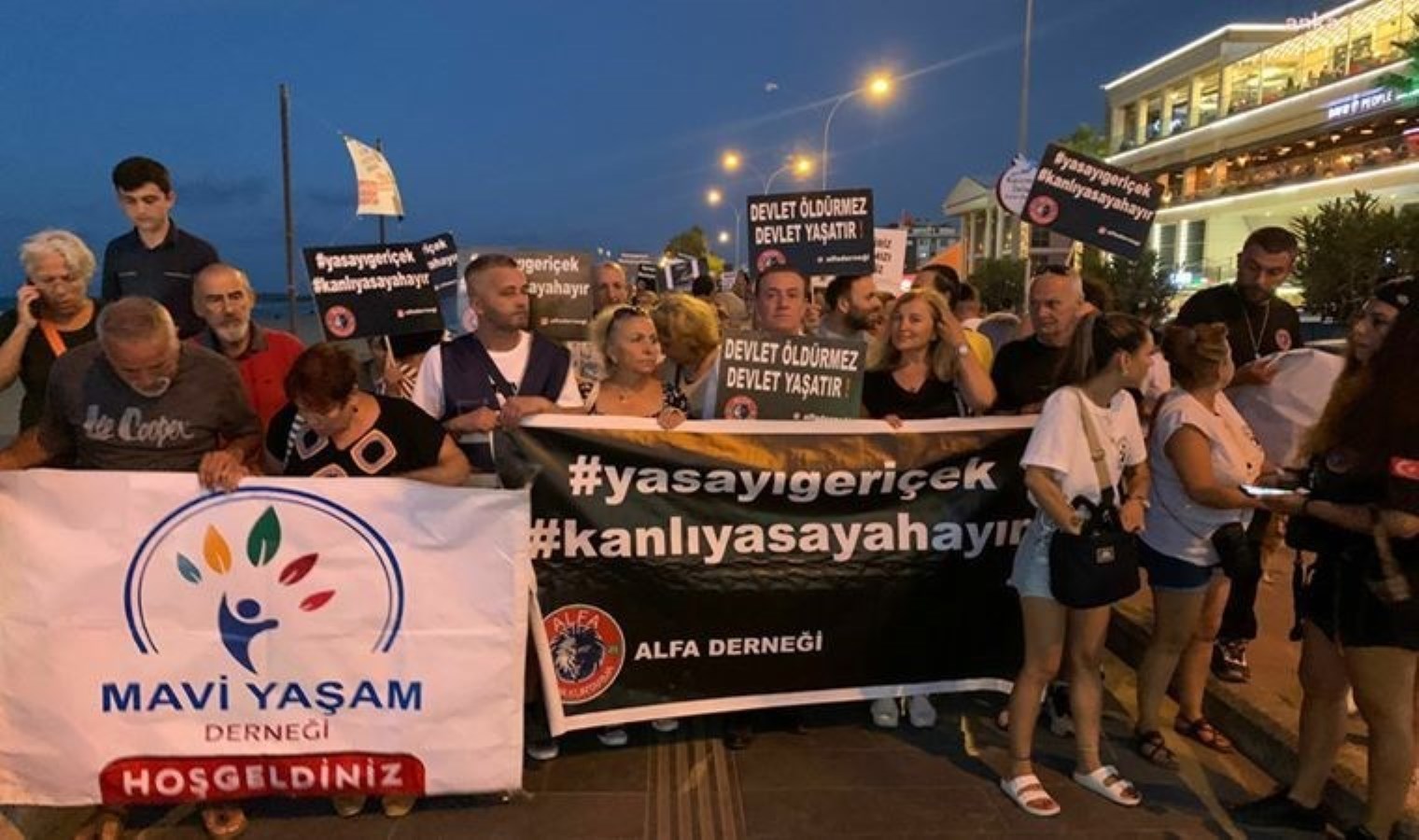 Samsun’da Sokak Hayvanları İçin Yürüyüş Düzenlendi