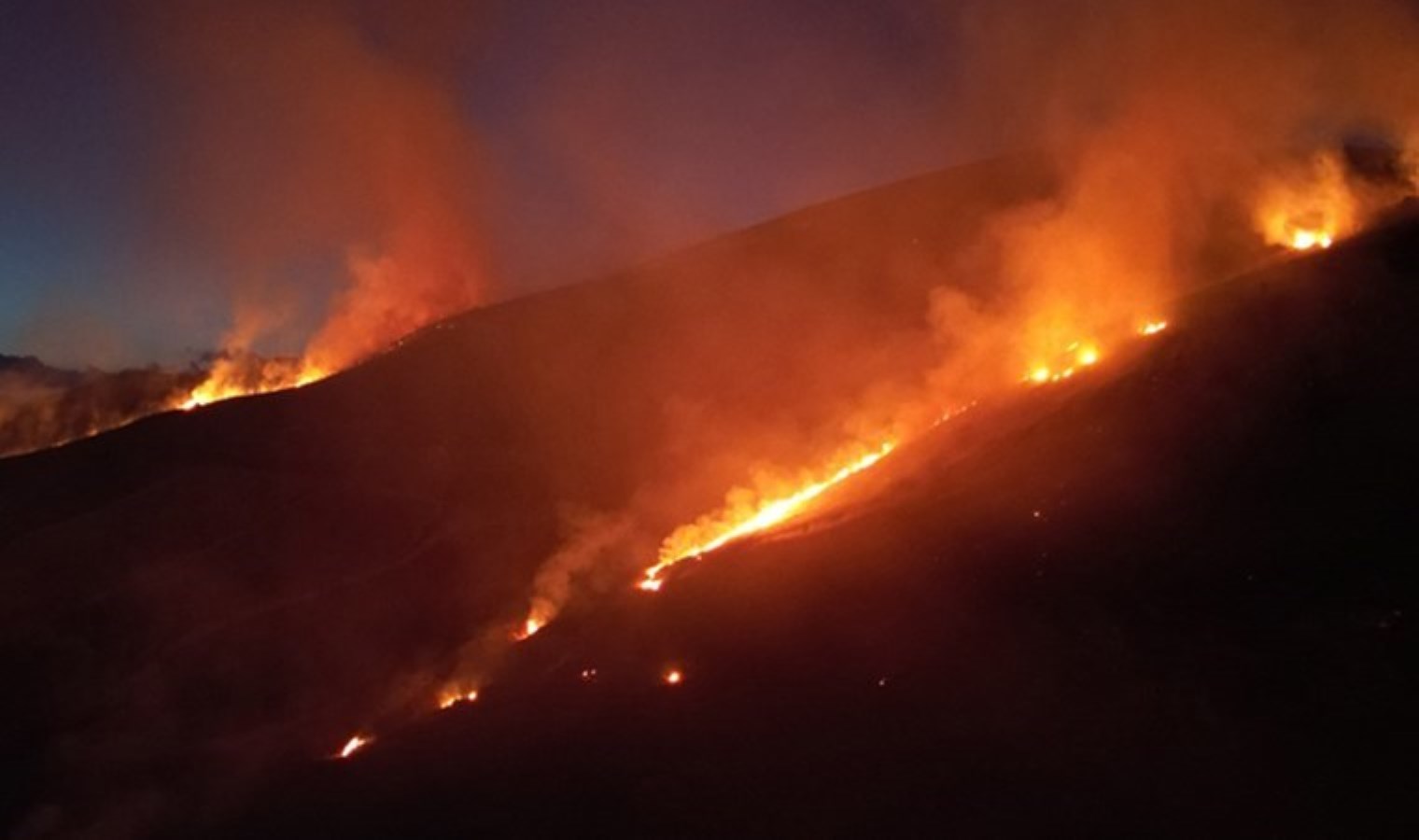 Sivas’ta orman yangını: 14 saatte söndürüldü