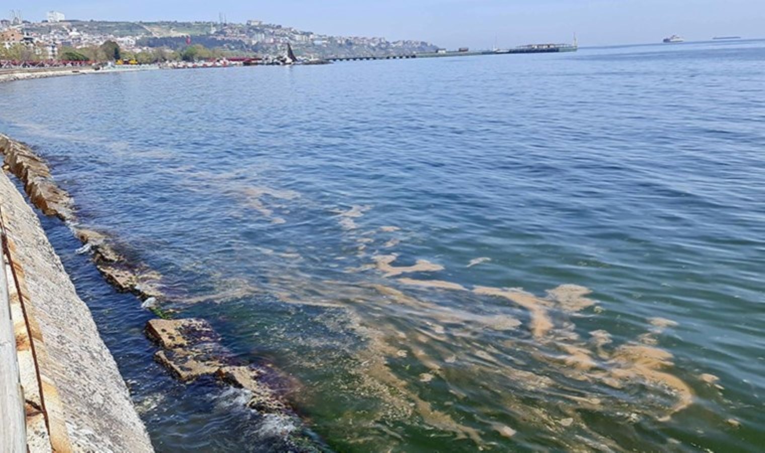 Su Politikaları Derneği Başkanı Yıldız’dan ‘müsilaj’ açıklaması: Çalışmalara süratle girilmelidir