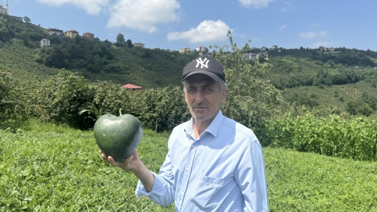 Talihsiz Temel’in Şansı: Şekilli Karpuzlarla Başarı