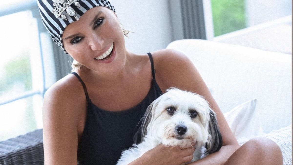 Türkiye’de Başıboş Sokak Köpeği Sorununa Yeni Yasa