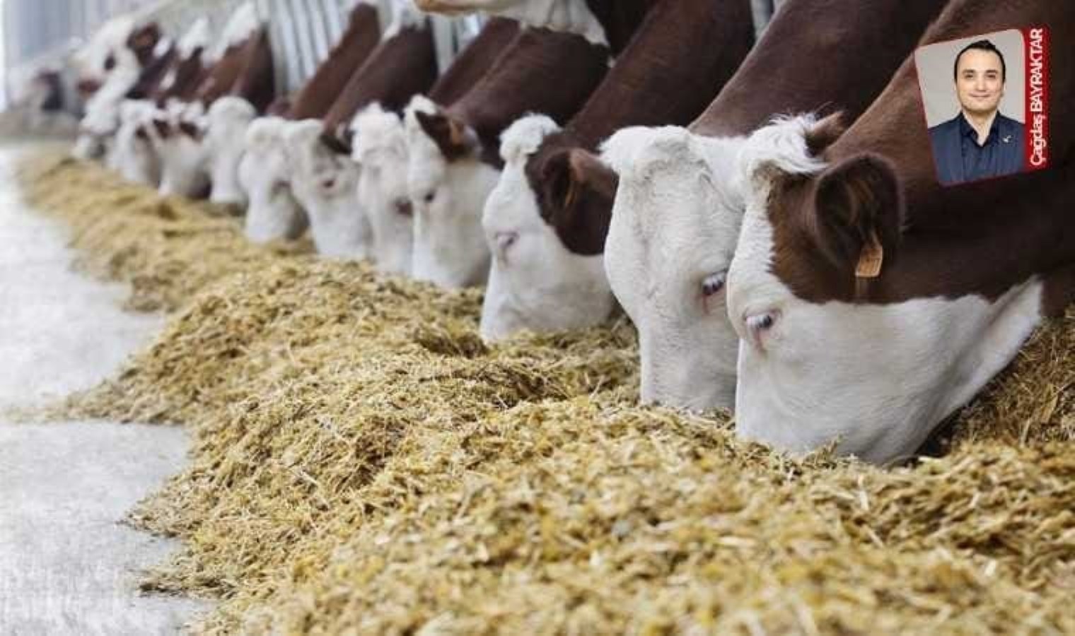 ‘Üretim odaklı politikaya dönülmeli’