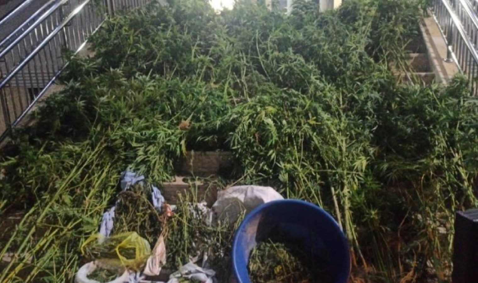 Uyuşturucu ihbarı harekete geçirdi: Dışarıdan tost büfesi ama…