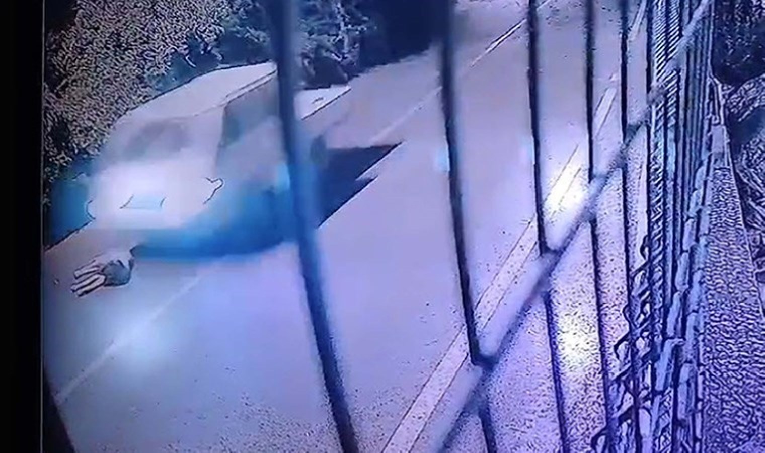 Yolda yatan köpeğe kamyonet çarptı, şoför kaçtı