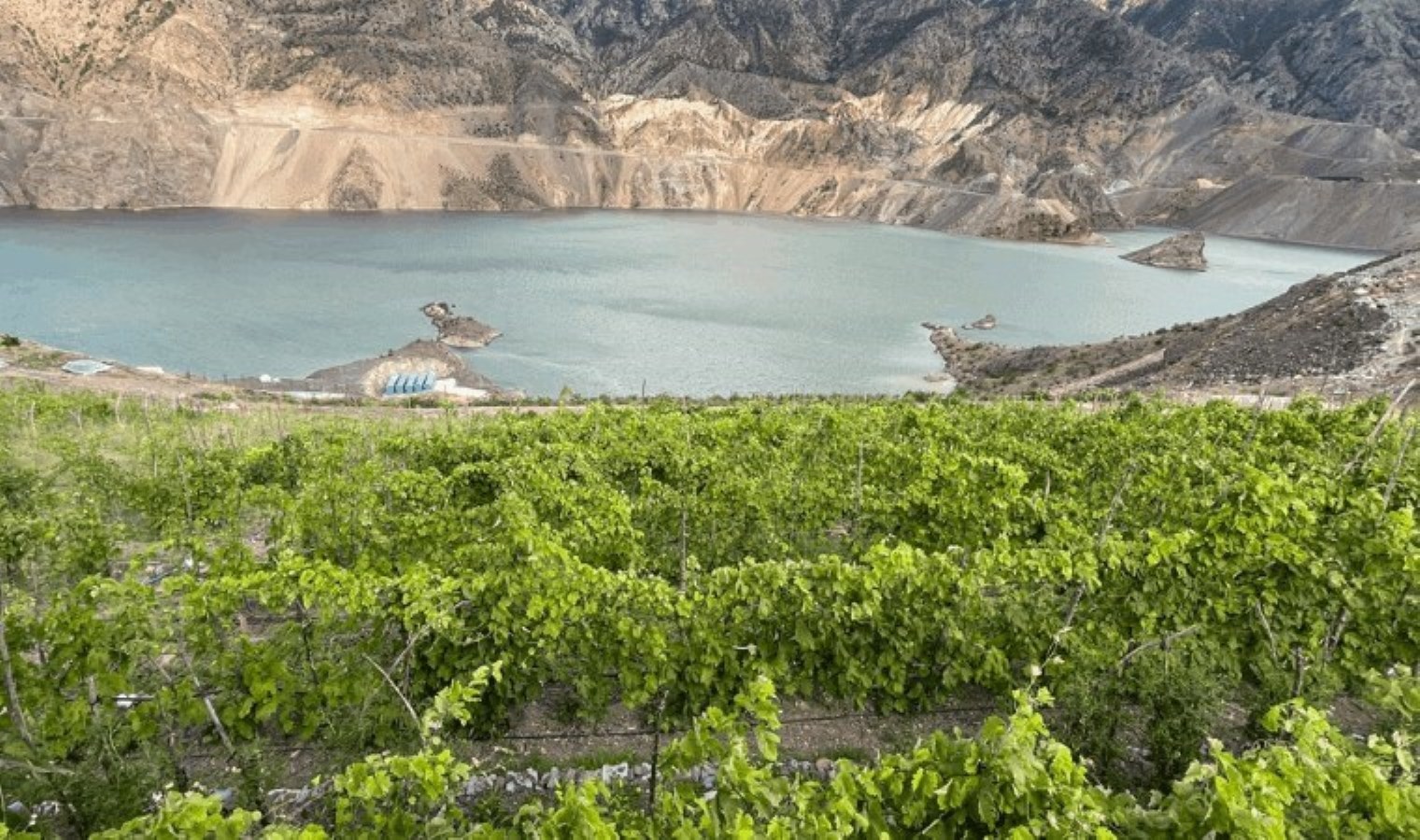 Yusufeli Barajı’nın Etkisiyle Yenilenen Tarım Alanları