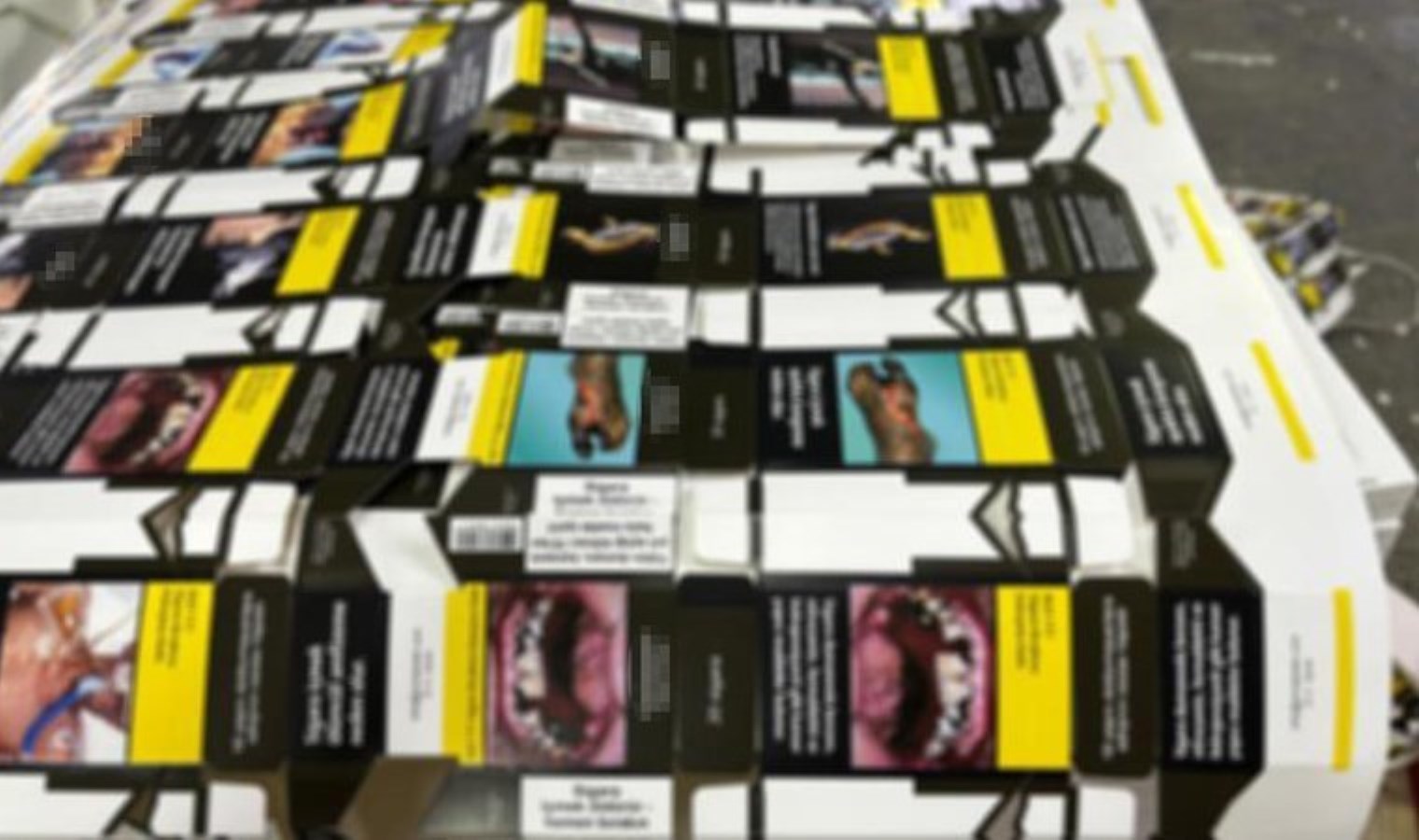 Zeytinburnu’nda matbaaya ‘sahte ambalaj’ operasyonu: 2 gözaltı