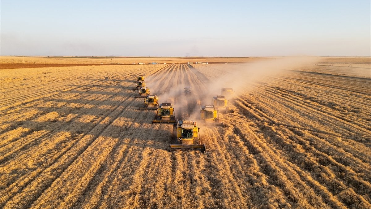 Ziraî girdi fiyatları haziranda aylık yıllık yüzde 47,56 arttı