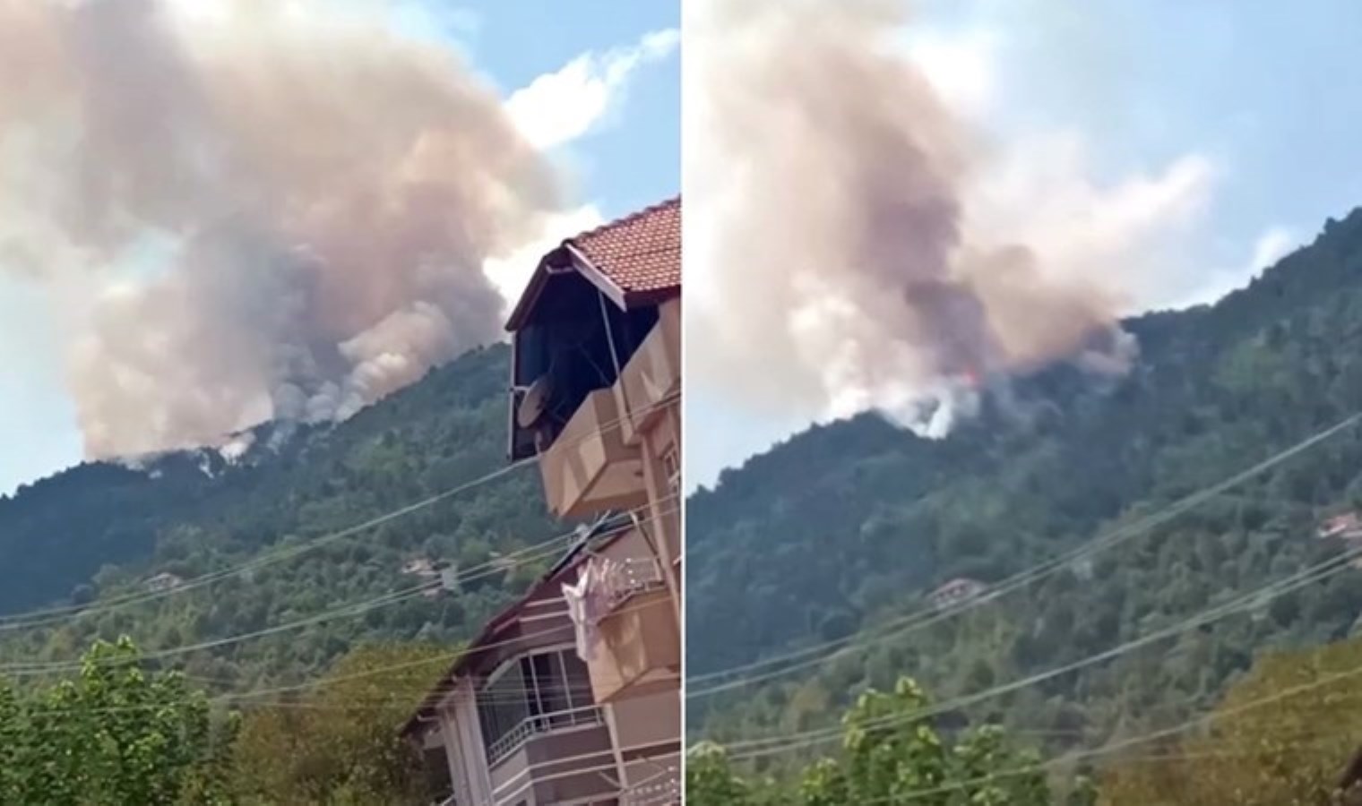 Zonguldak’ta orman yangını!