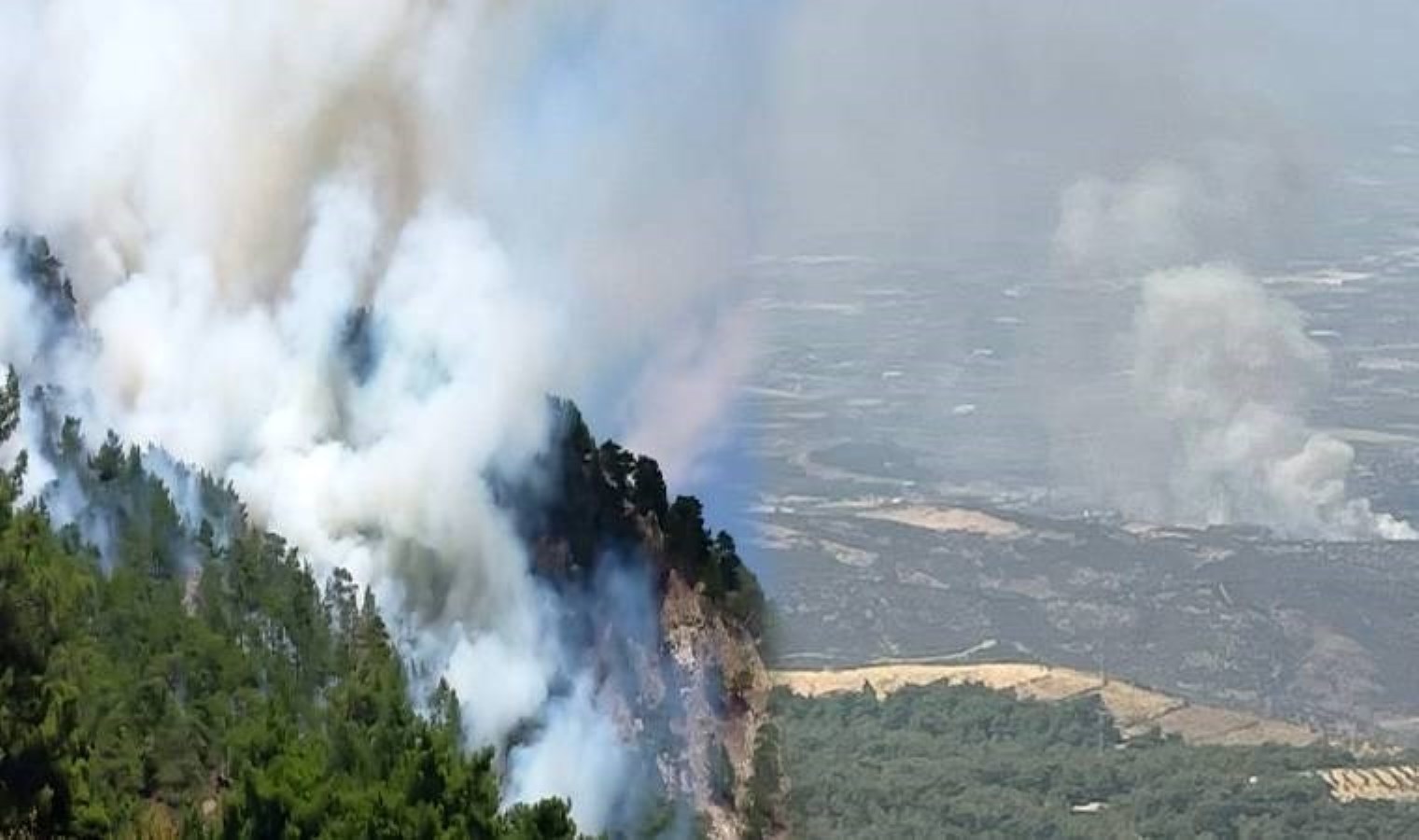 3 ilde orman yangını