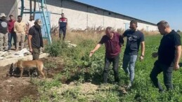 Adana’da kayıp olarak aranıyordu… Cesedi Konya’daki tarlada gömülü bulundu