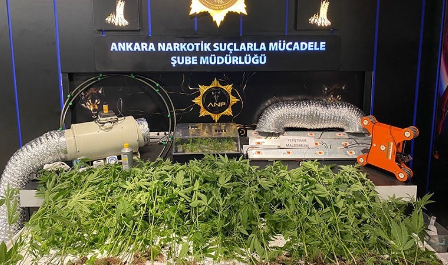 Ankara’da 20 bin uyuşturucu hap ve 57 kök kenevir ele geçirildi