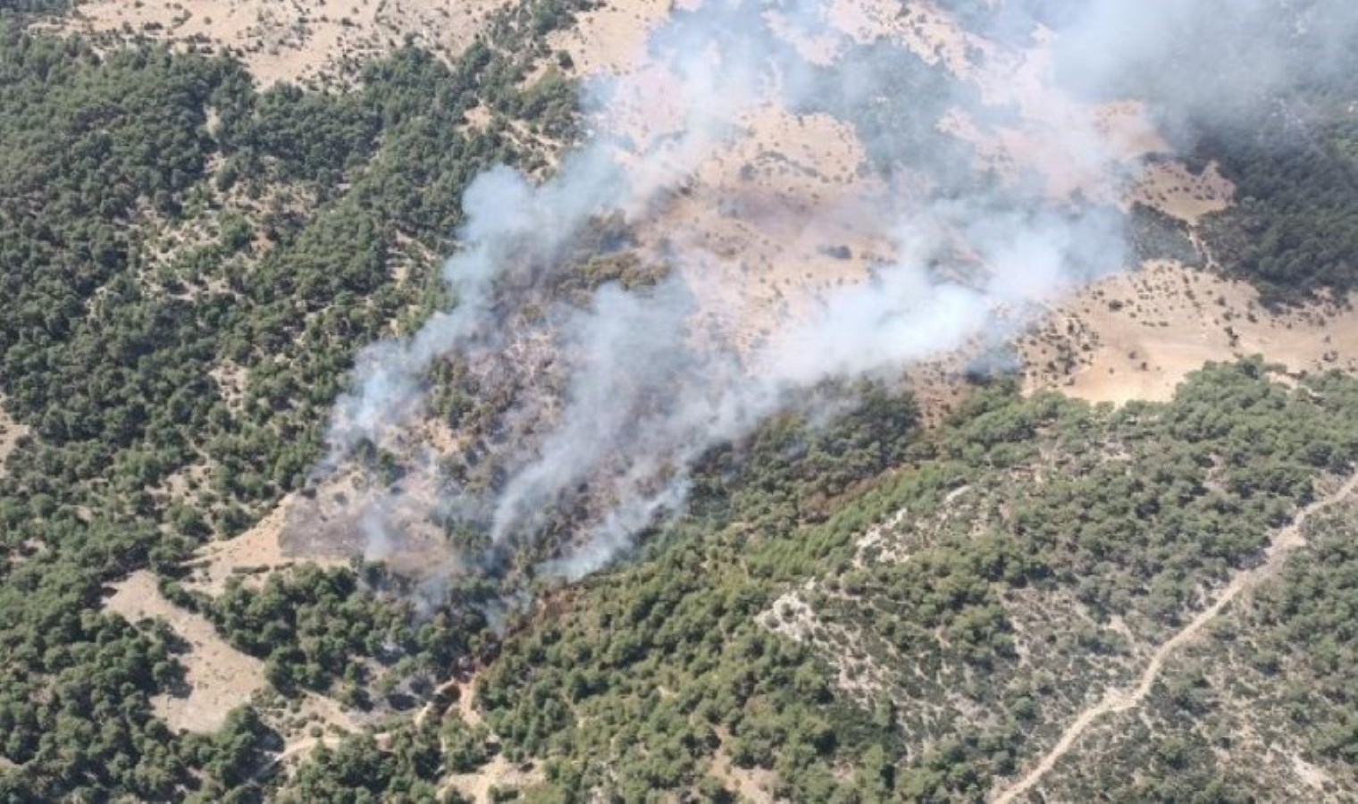 Antalya’da orman yangını!