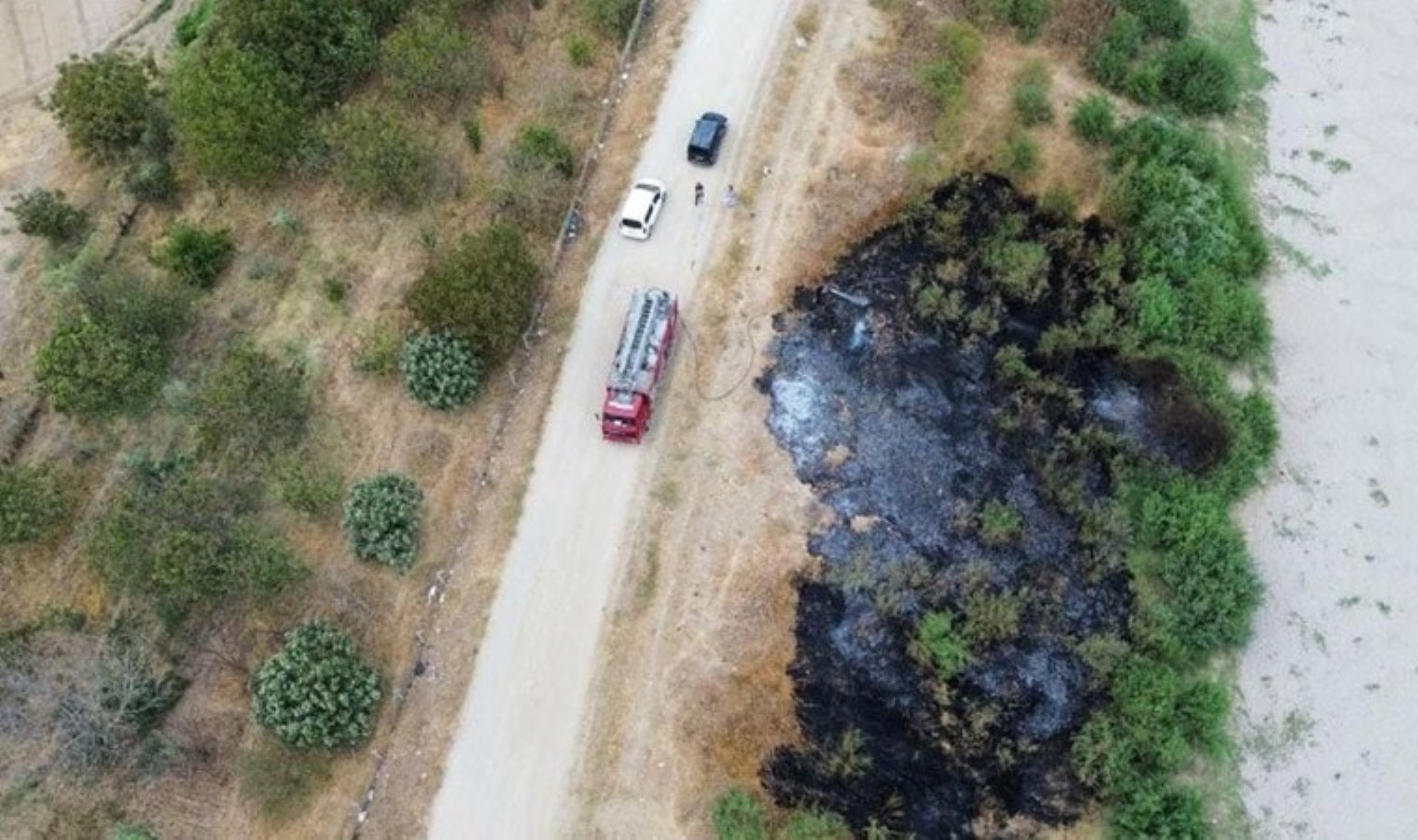 Antalya’da yıldırım yangına neden oldu: 10 dönüm alan zarar gördü