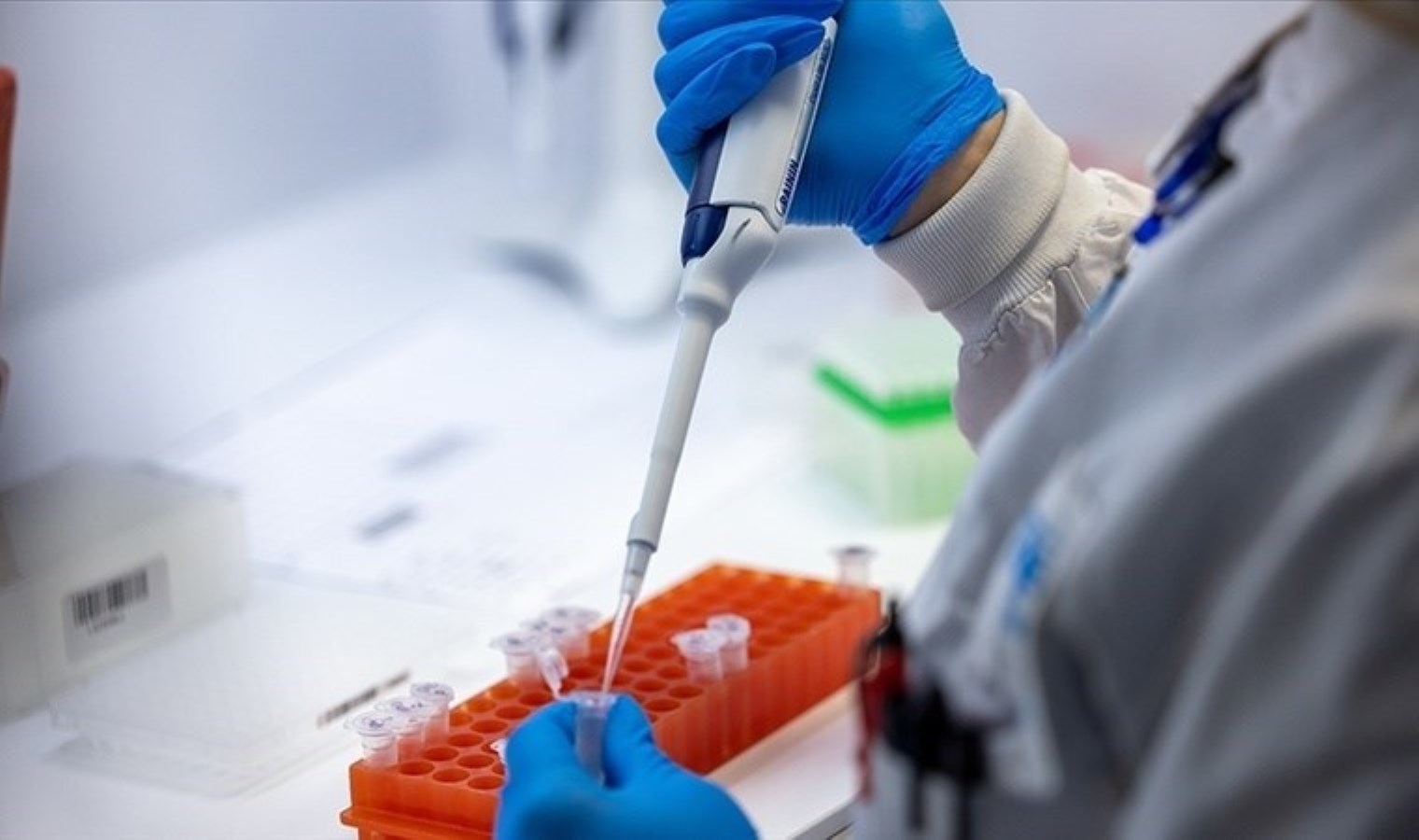 Avrupa’da M çiçeği uyarısı: ‘Hazırlıklı olunmalı…’