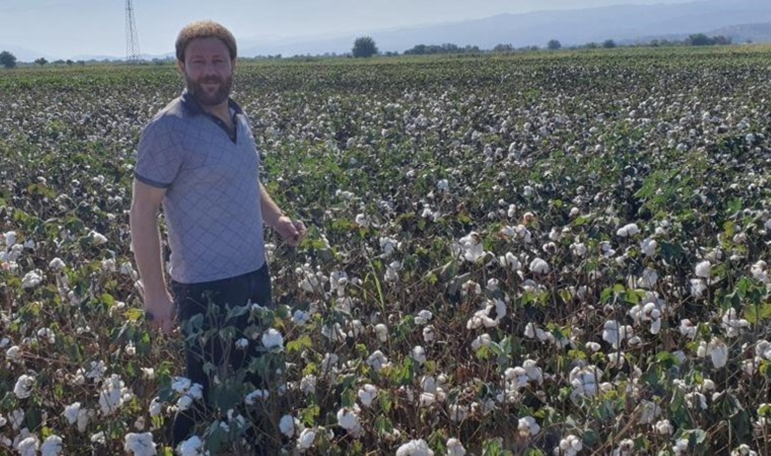 Aydın’da hasat zamanı: Dekar başına bin 250 TL