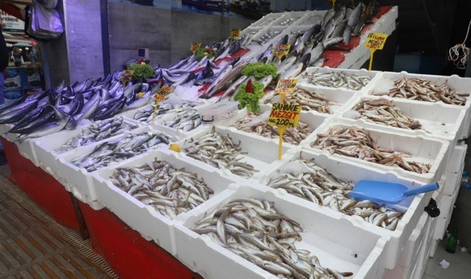 Balık tezgâhında dengeler değişti: Ağırlığı da fiyatı da iki katı arttı!