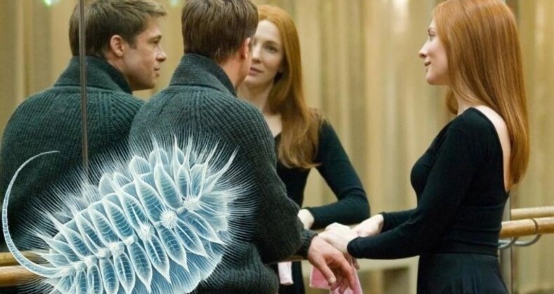 ‘Benjamin Button’ gerçek oldu: Yaşlanmayı tersine çevirebilen deniz canlısı keşfedildi!