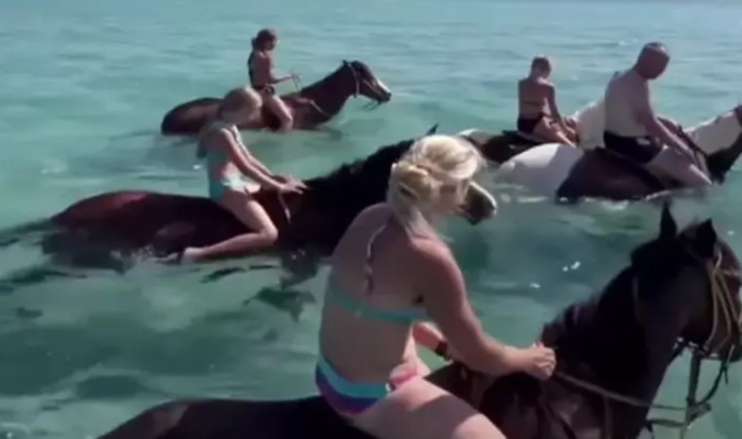 ‘Denizde at turu, hayvana eziyet’