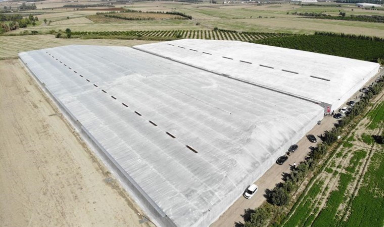 Depremzede kardeşler 120 dönümde üretime başladı: Dalında 33 TL’ye satılıyor