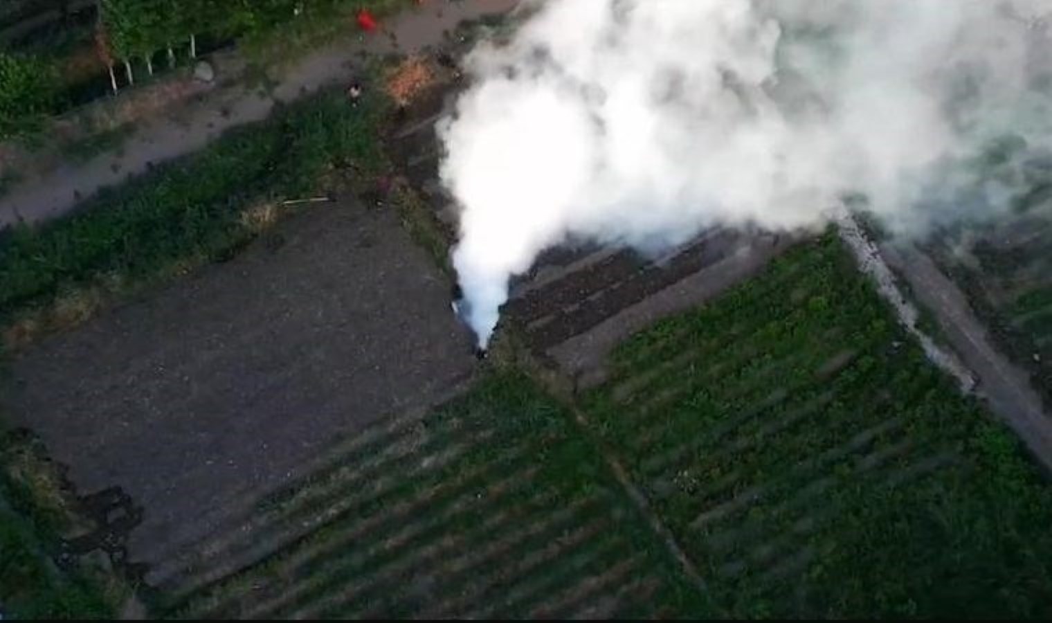 Diyarbakır’da 140 milyon lira değerinde Hint keneviri imha edildi