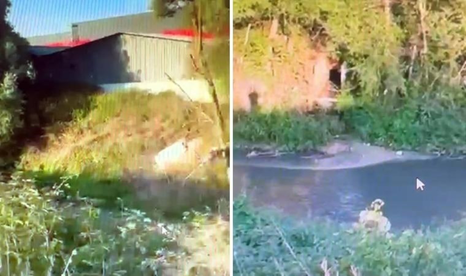 Doğayı kirletmeye devam etti: Beyaz et firmasına 4’üncü ceza