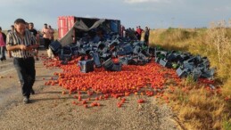 Domates üreticileri isyan etti! ‘Ürünler tarlada çürüyor’