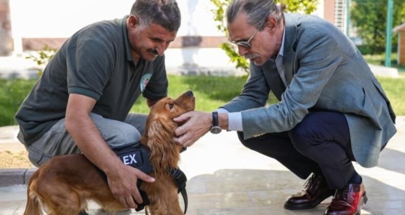 Etimesgut’ta ilk sokak köpeği ataması yapıldı