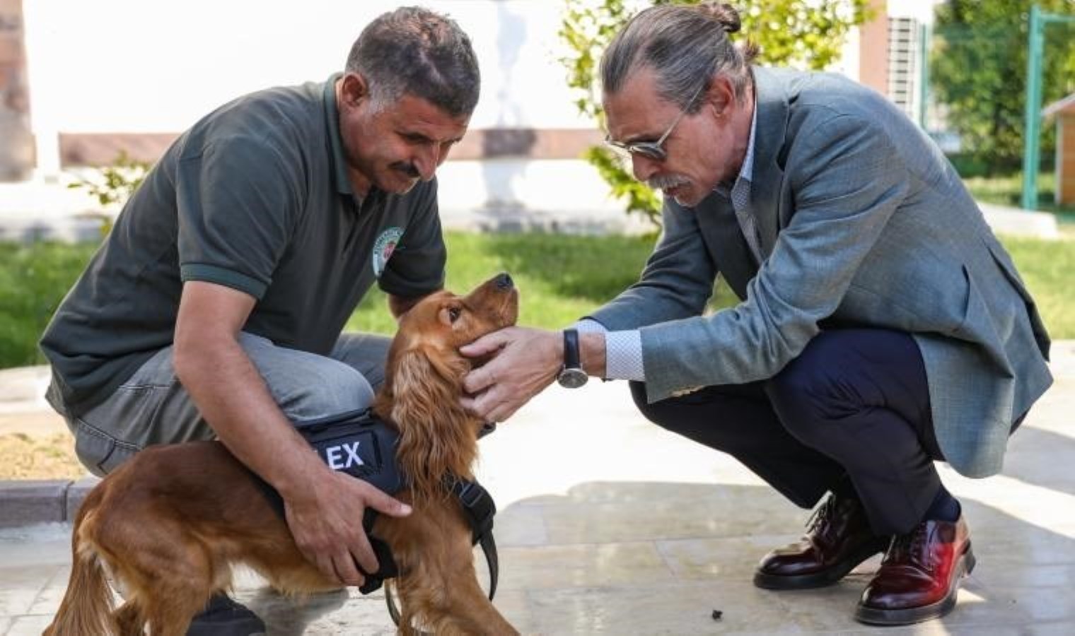 Etimesgut’ta ilk sokak köpeği ataması yapıldı