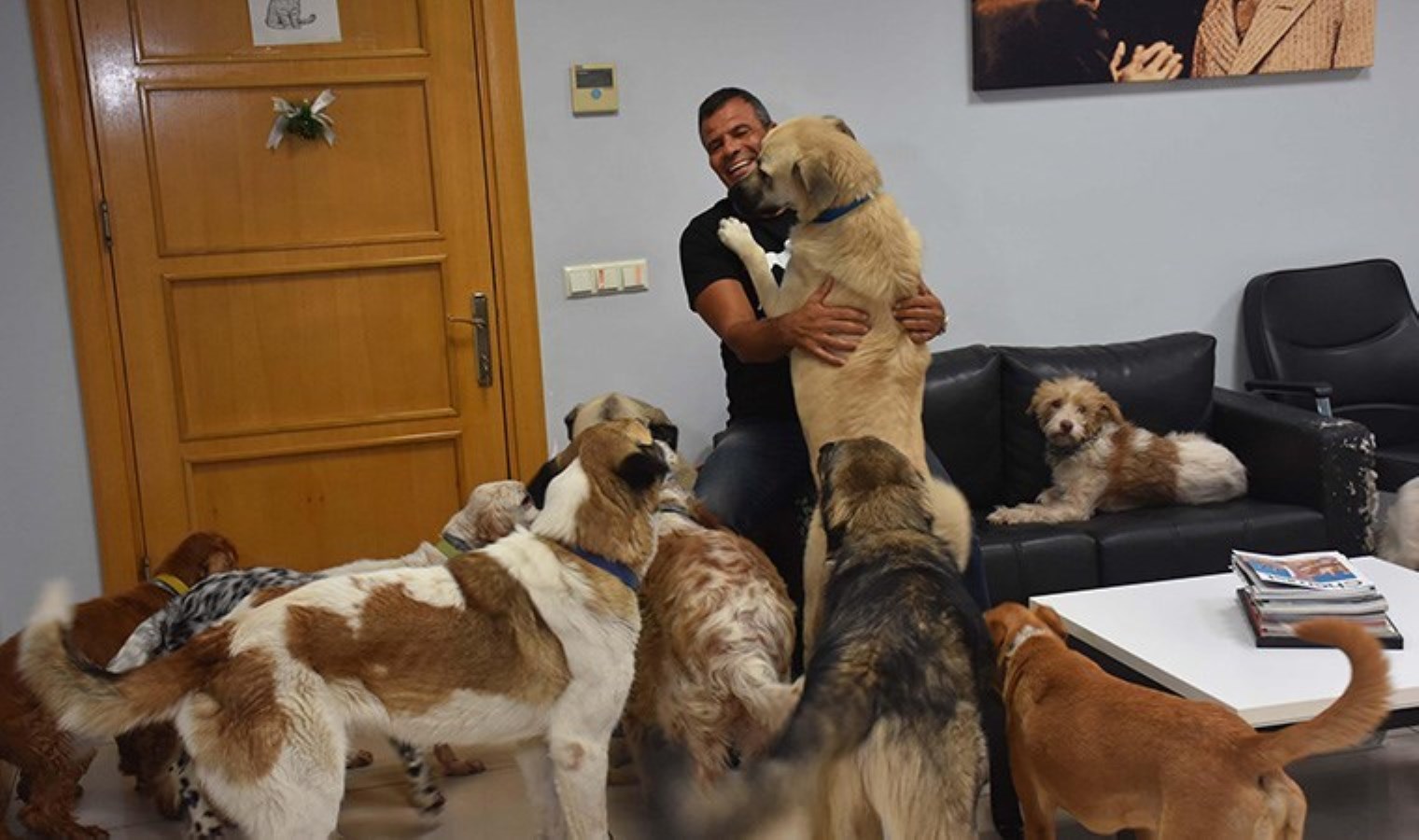 Fabrikasını can dostlarına açtı: 36 köpek, 7 kedi var
