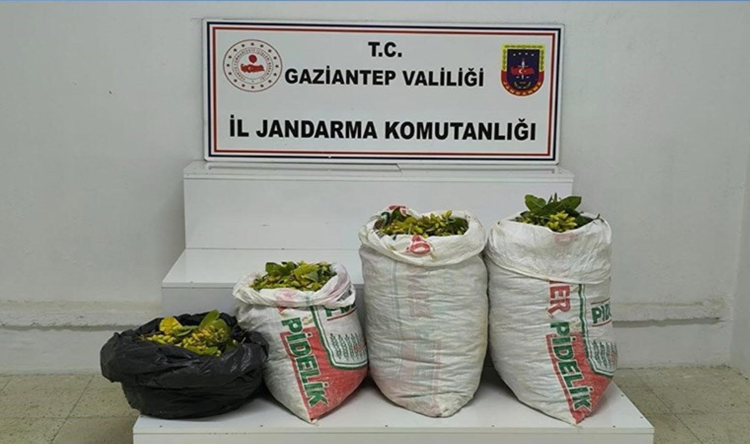 Fıstık hırsızlığı şüphelisi 2 şahıs tutuklandı