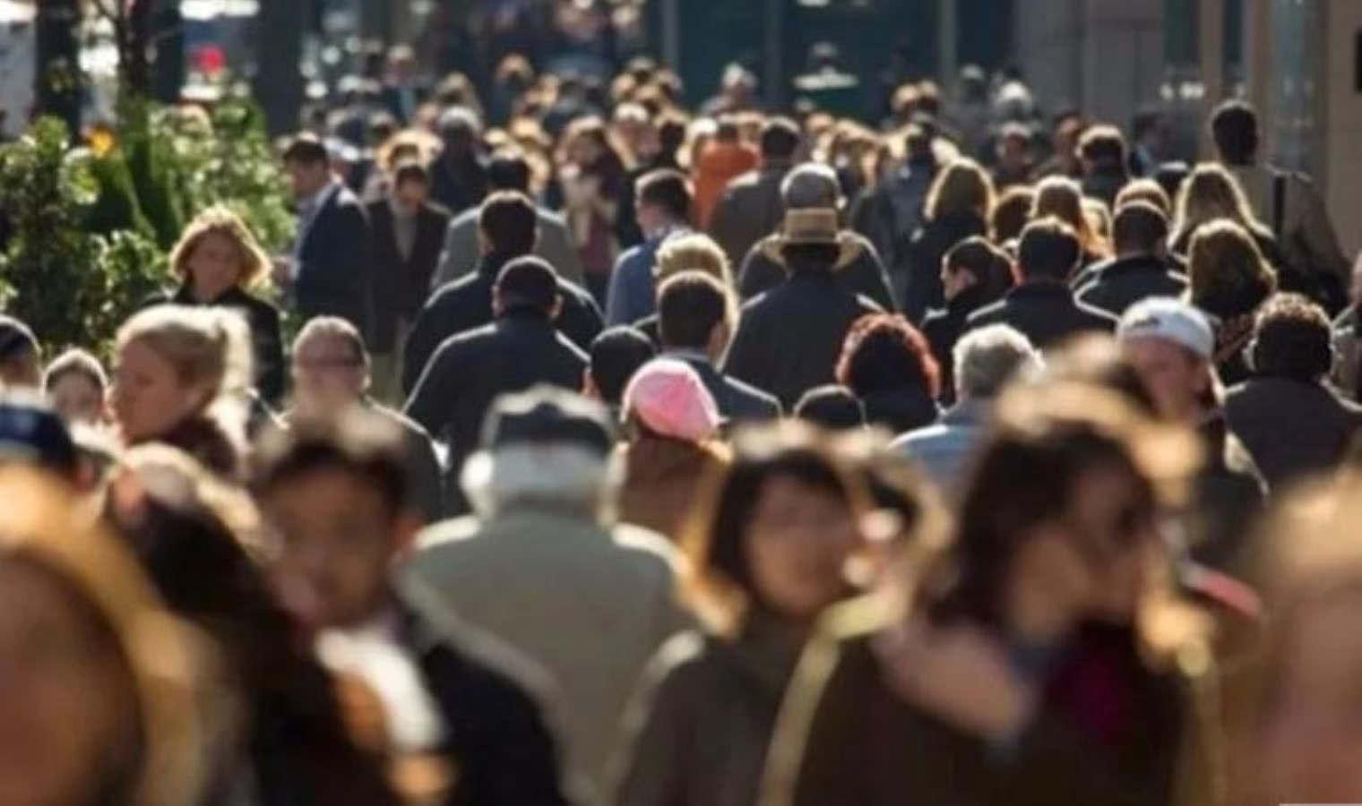 Gençler bu yanıtı daha çok verdi: ‘Hiçbir kuruma güvenmiyorum’