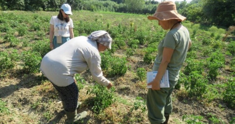 Hatay’da depremzede çiftçilerin ürünleri kadınların elinde katma değere dönüşüyor