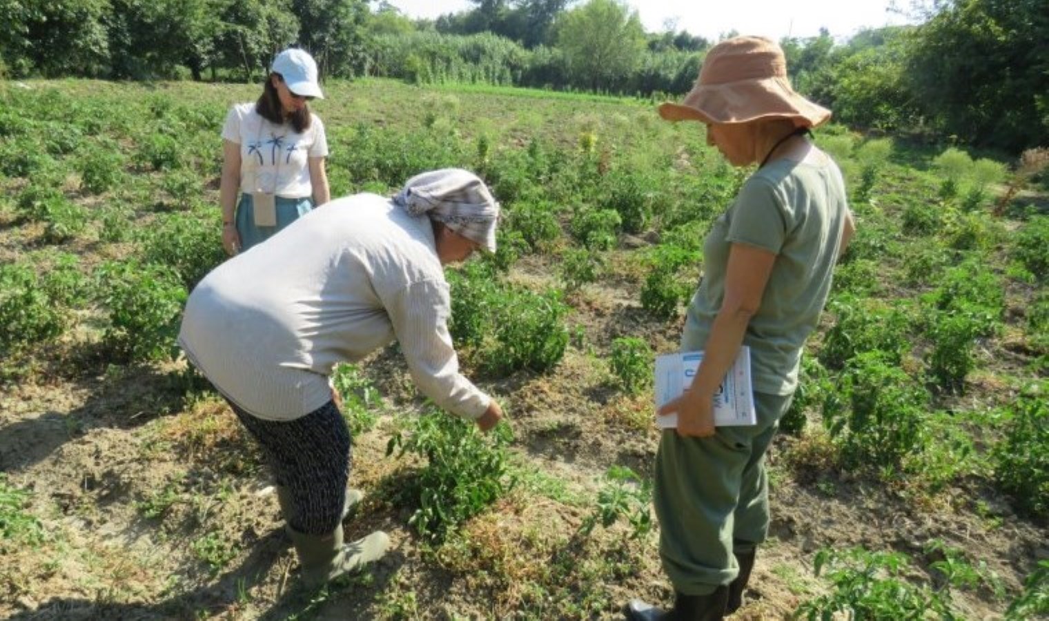 Hatay’da depremzede çiftçilerin ürünleri kadınların elinde katma değere dönüşüyor
