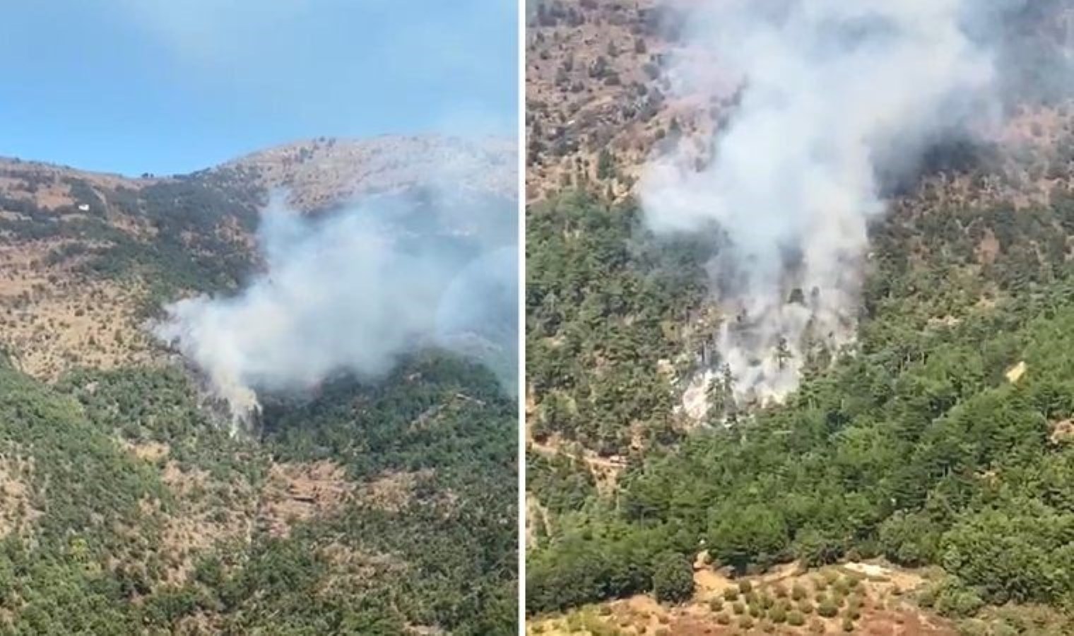 İzmir’de orman yangını… Ekipler müdahale ediyor