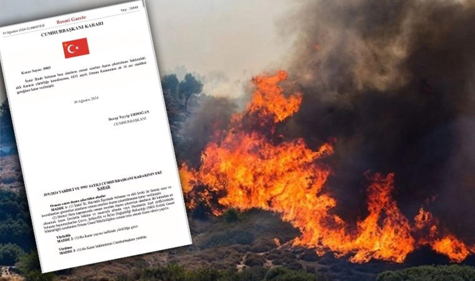 İzmir’de yanan orman alanları yapılaşmaya açılmıştı… Bakanlık kabul etti: ’95 hektarlık kısmı…’