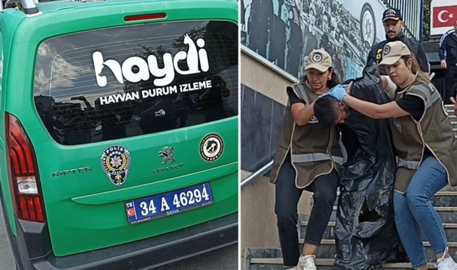 Kadın polis memurunu şehit eden şüpheli adliyeye sevk edildi: Hayvan Büro Amirliği’nin aracıyla görütüldü